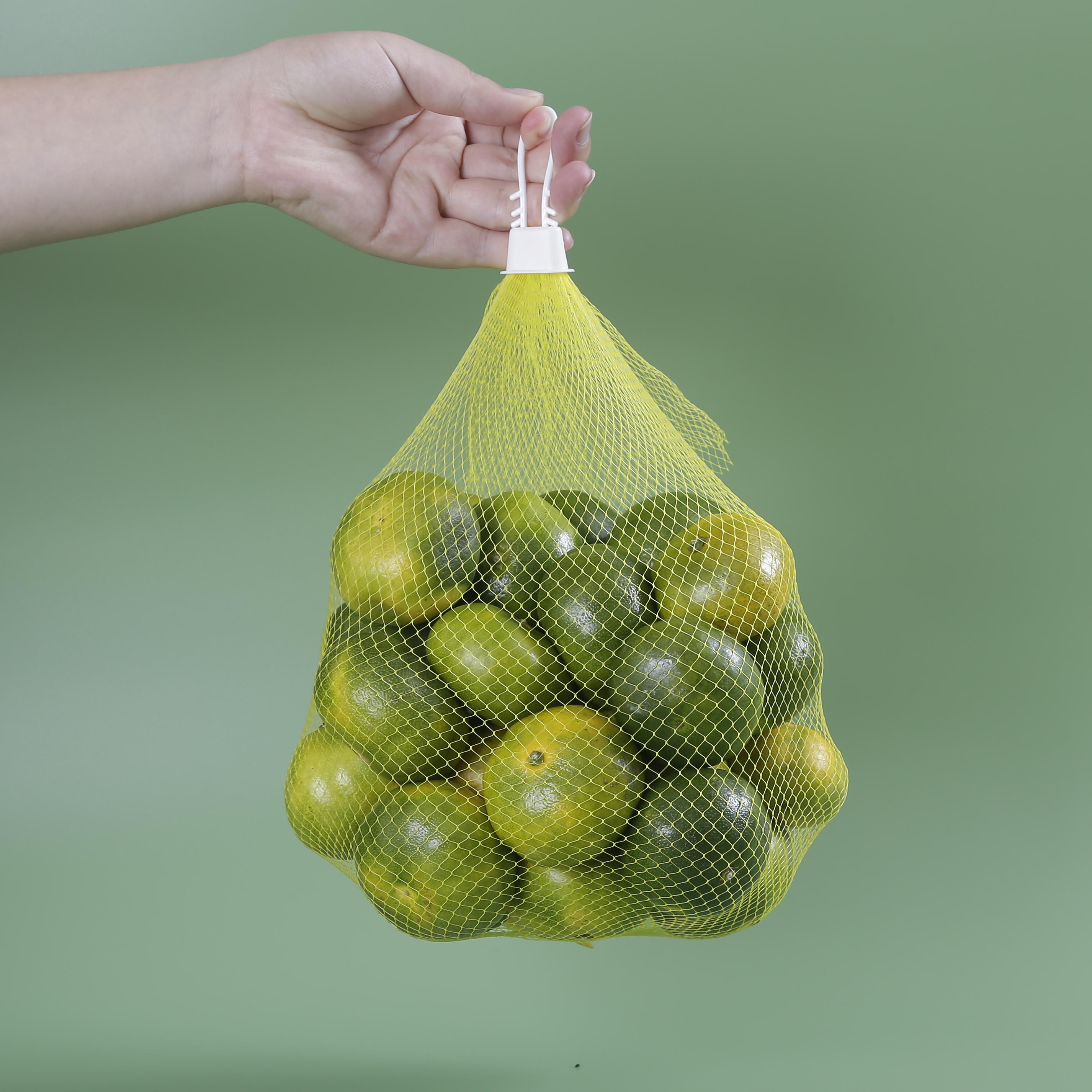 Extruded Mesh Plastic Net Bags In Roll Packaging Garlic Onion Fruit Eggs Tubular Mesh Sleeve Bags